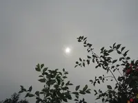 085.webp