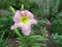 074.webp