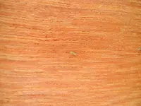 DSCN0291.webp