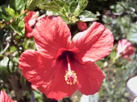 btw 11.06.2011 004.webp
