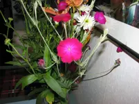 IMG_6828.webp