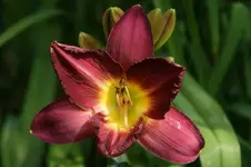 DSC05557.webp