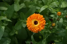 DSC05558.webp