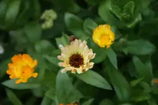 DSC05560.webp