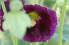 DSC05565.webp