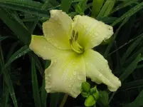 IMG_anja 2_1067x800.webp