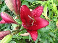 IMG_3856_1067x800.webp