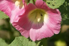 DSC05566.webp