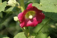 DSC05568.webp