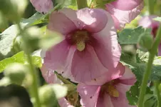 DSC05569.webp
