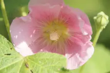 DSC05570.webp
