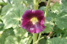 DSC05571.webp
