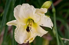 blog_2541.webp