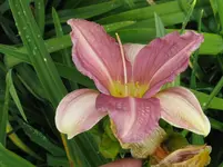 IMG_mercy me_1067x800.webp