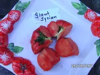 BILD0002.webp