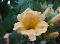Bild 001.webp