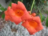 Bild 002.webp