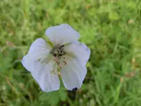 301.webp