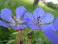 325.webp