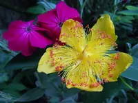 023.webp