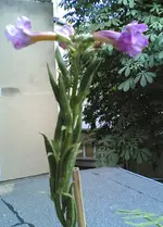 09062011(001).webp