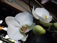 DSCF0595.webp