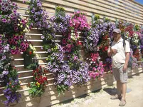 IMG_5197.webp
