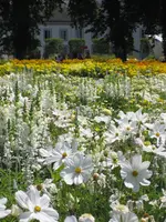 IMG_5227.webp
