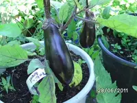 BILD0012.webp
