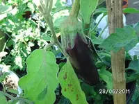 BILD0013.webp