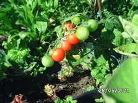 BILD0016.webp