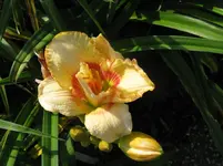 IMG_as 28_1067x800.webp