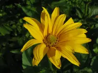 IMG_4041_1067x800.webp