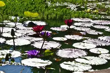 HDR 7D (1 von 1).webp
