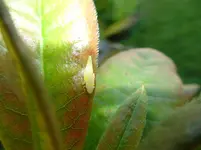 DSC00478.webp