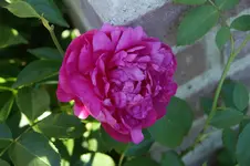 DSC03125.webp