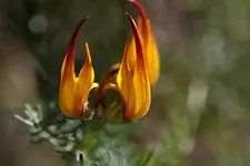 Botanischer Erlangen 40D (16 von 32).webp