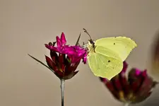 Botanischer Erlangen 7D (27 von 62).webp