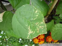Test 2303.webp