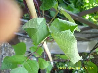 Test 2313.webp