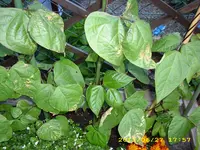 Test 2311.webp