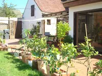 pflanzen juni 2011 016.webp