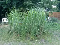 DSC00088.webp