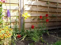 Gartenimpressionen 28 06 001.webp