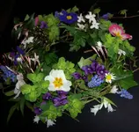 bunt (1).webp