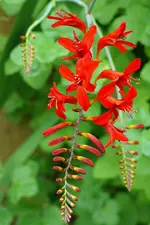 DSC08154-forum.webp