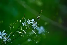 Wildlife fränkische Schweiz  (11 von 28).webp