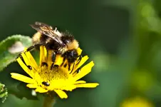 Wildlife fränkische Schweiz 2 (19 von 33).webp