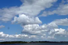 P1050871.webp