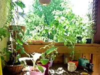 Balkon29062011.webp